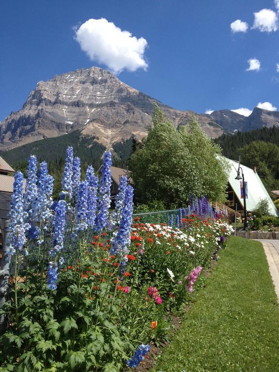 Canadian Rockies Inn - Adults Only ฟิลด์ ภายนอก รูปภาพ